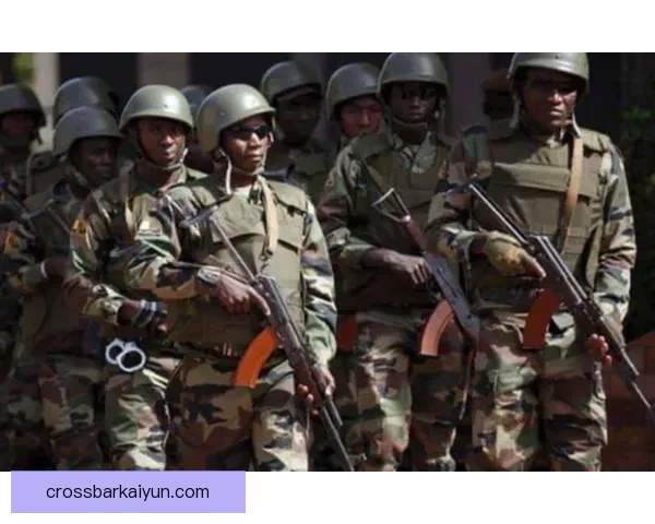 马里主帅战术风格解析：注重防守组织与快速反击